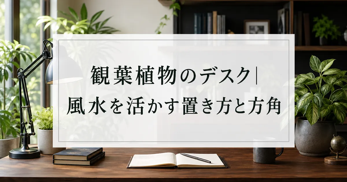 観葉植物のデスク｜風水を活かす置き方と方角