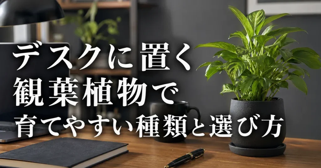 デスクに置く観葉植物で育てやすい種類と選び方