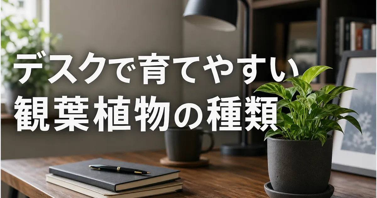 観葉植物のデスク向け｜育てやすい人気の種類