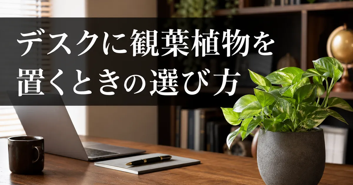 観葉植物のデスク｜育てやすい置き方のコツ