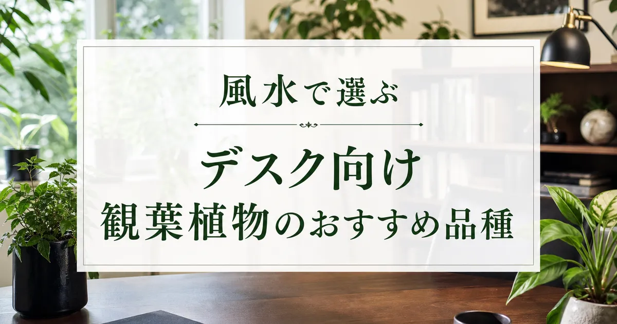 風水で選ぶデスク向け観葉植物のおすすめ品種
